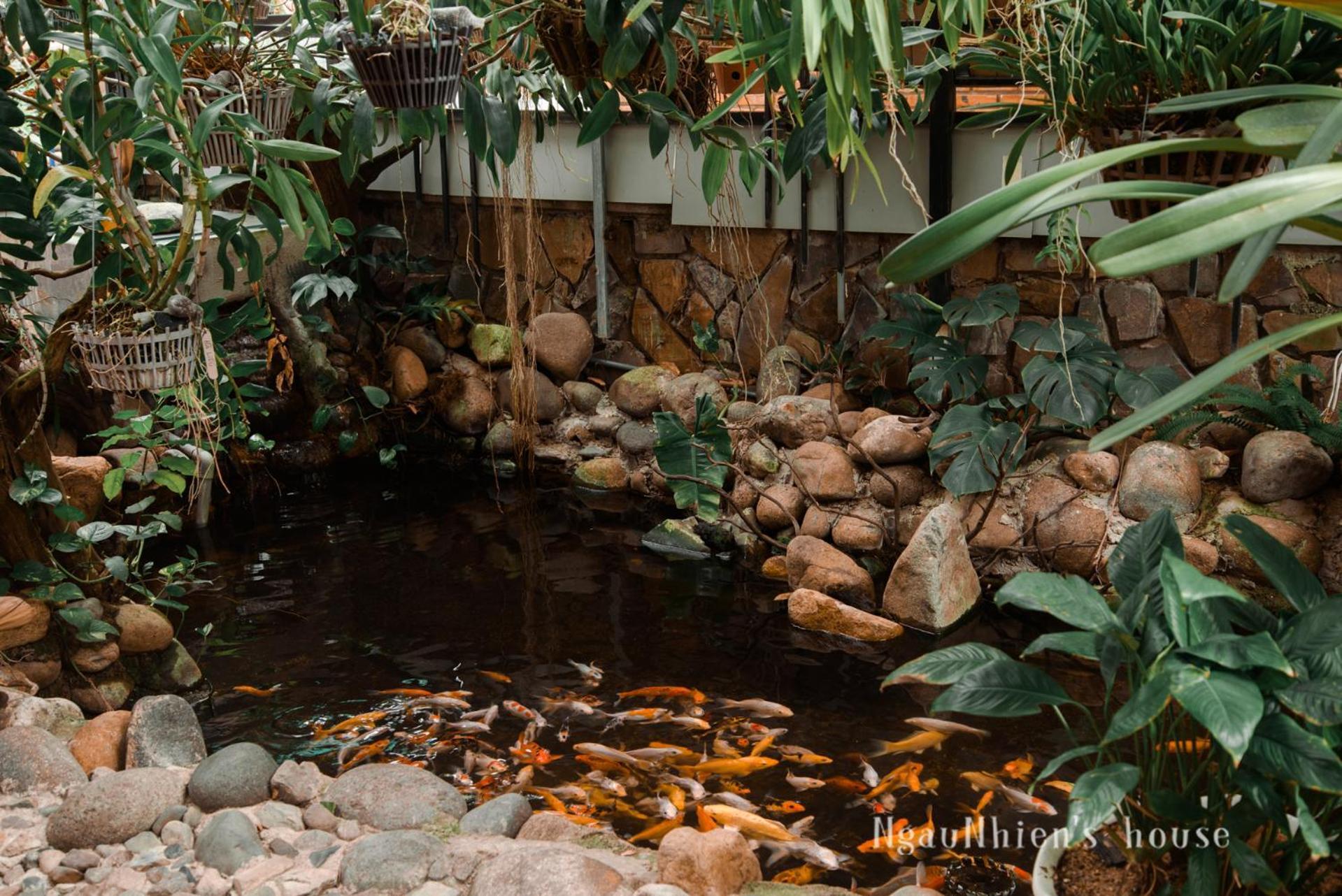 Ngaunhien'S House - Homestay Phan Rang Bagian luar foto