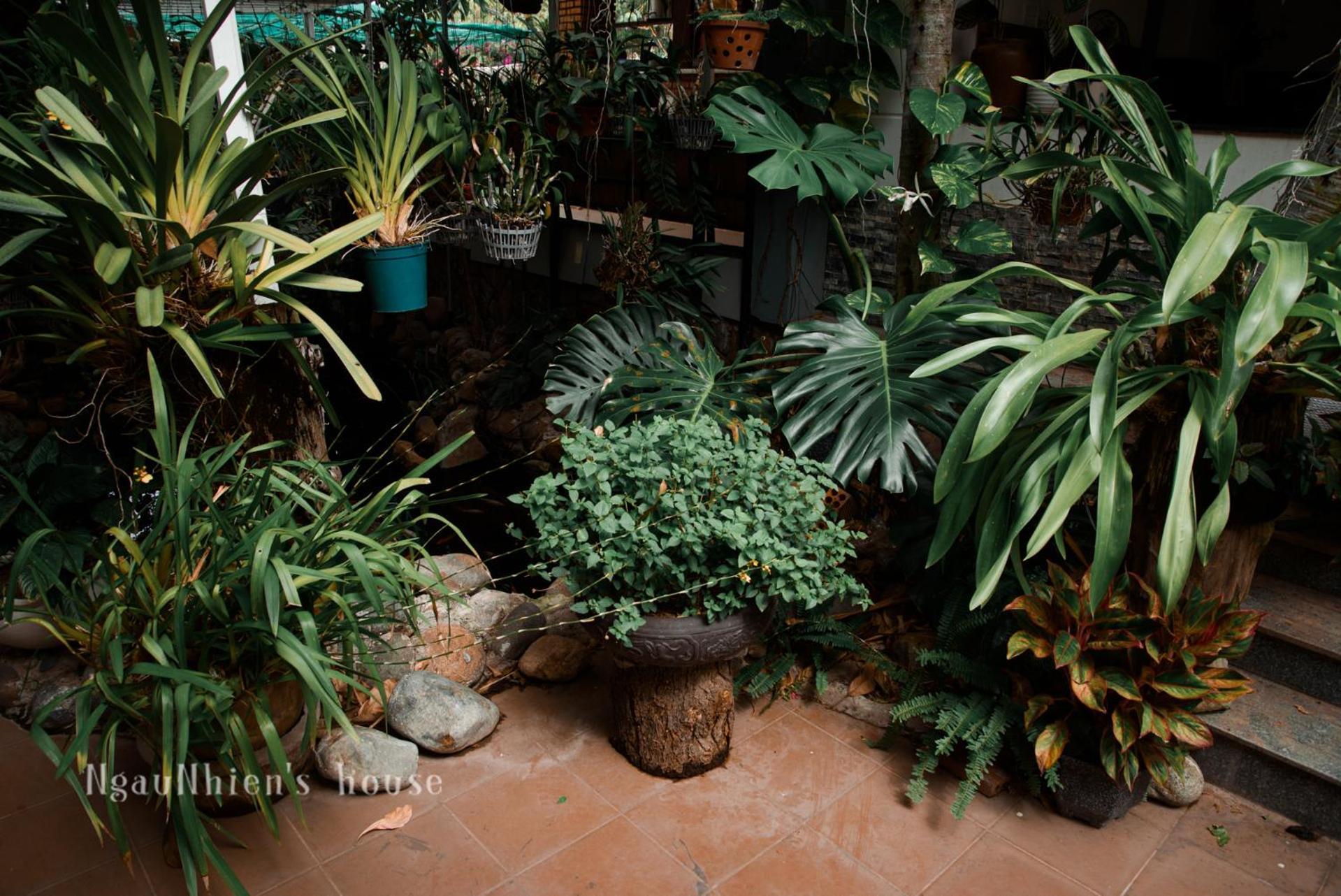 Ngaunhien'S House - Homestay Phan Rang Bagian luar foto