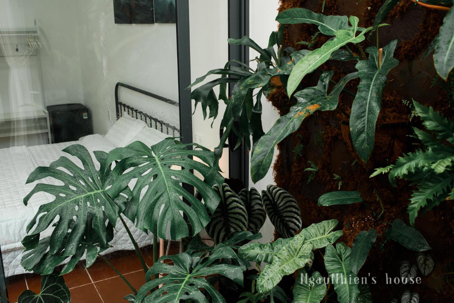 Ngaunhien'S House - Homestay Phan Rang Bagian luar foto