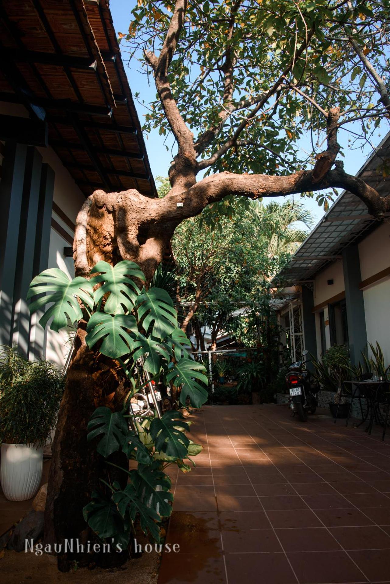 Ngaunhien'S House - Homestay Phan Rang Bagian luar foto